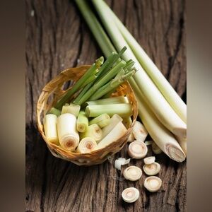 Jennifer’s Body Bath - luxurious oatmeal milk bath powder in lemongrass.
